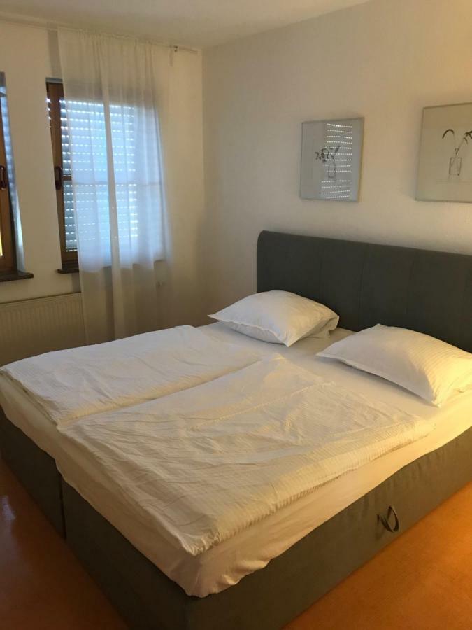 Apartment Roxheim Екстериор снимка